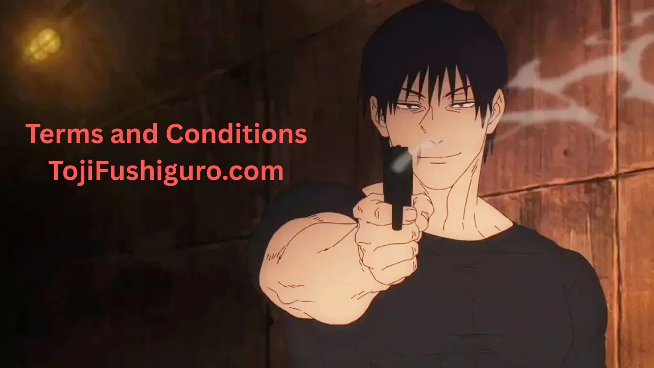 Terms and Conditions